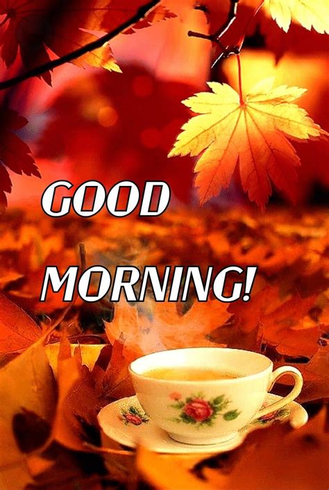 Oct 31, 2023 · The perfect Good morning Animated GIF for your conversation. Discover and Share the best GIFs on Tenor. ... good morning. Share URL. Embed. Details File Size: 1674KB ... 